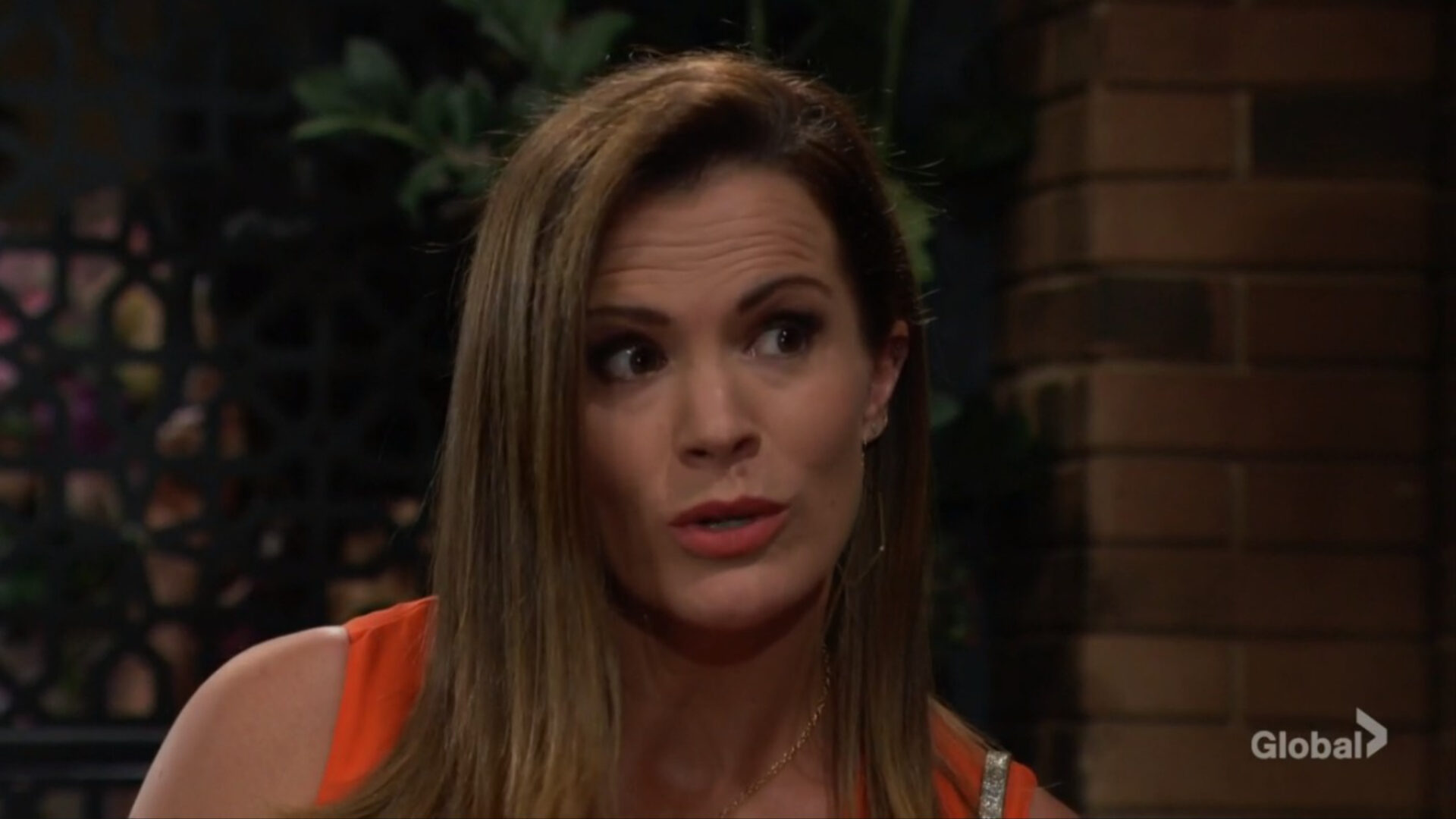 chelsea taunts sally young restless