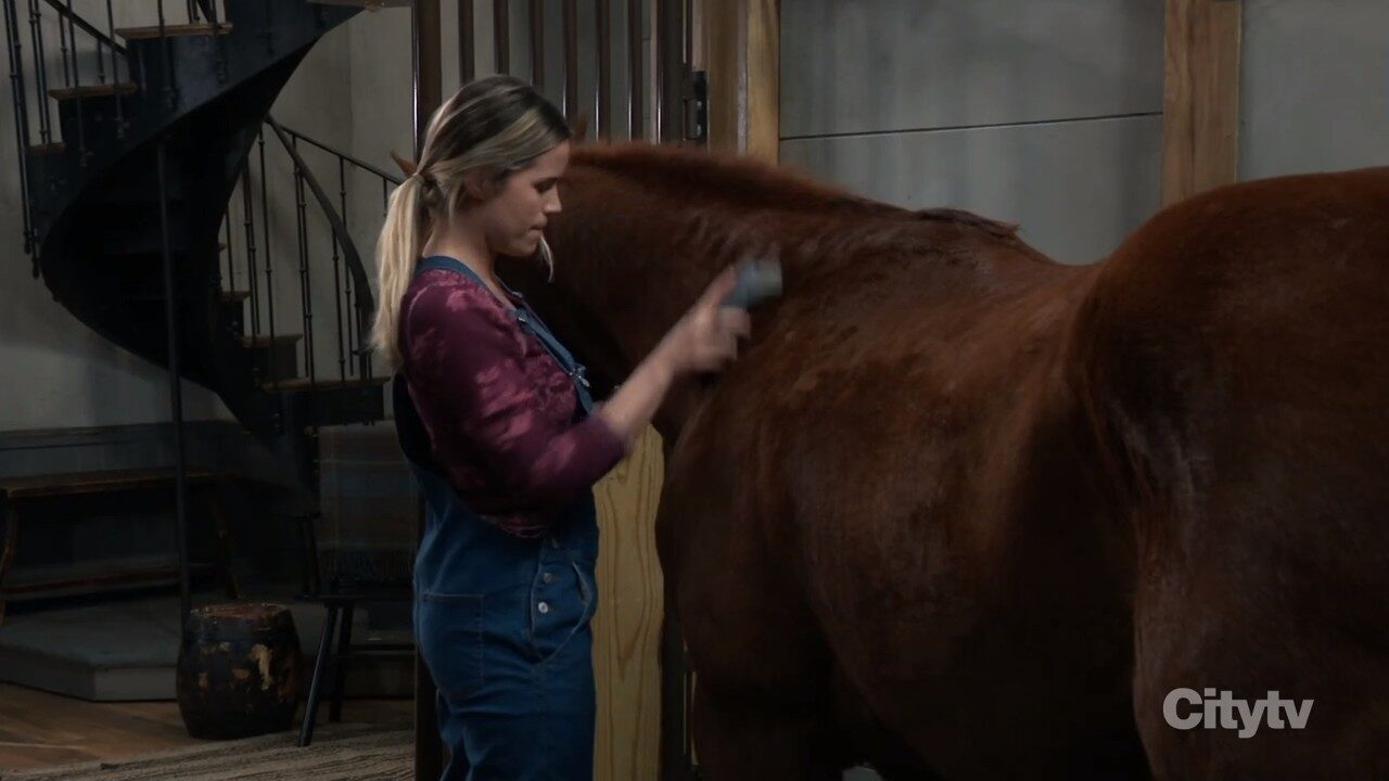 sasha brushes horse